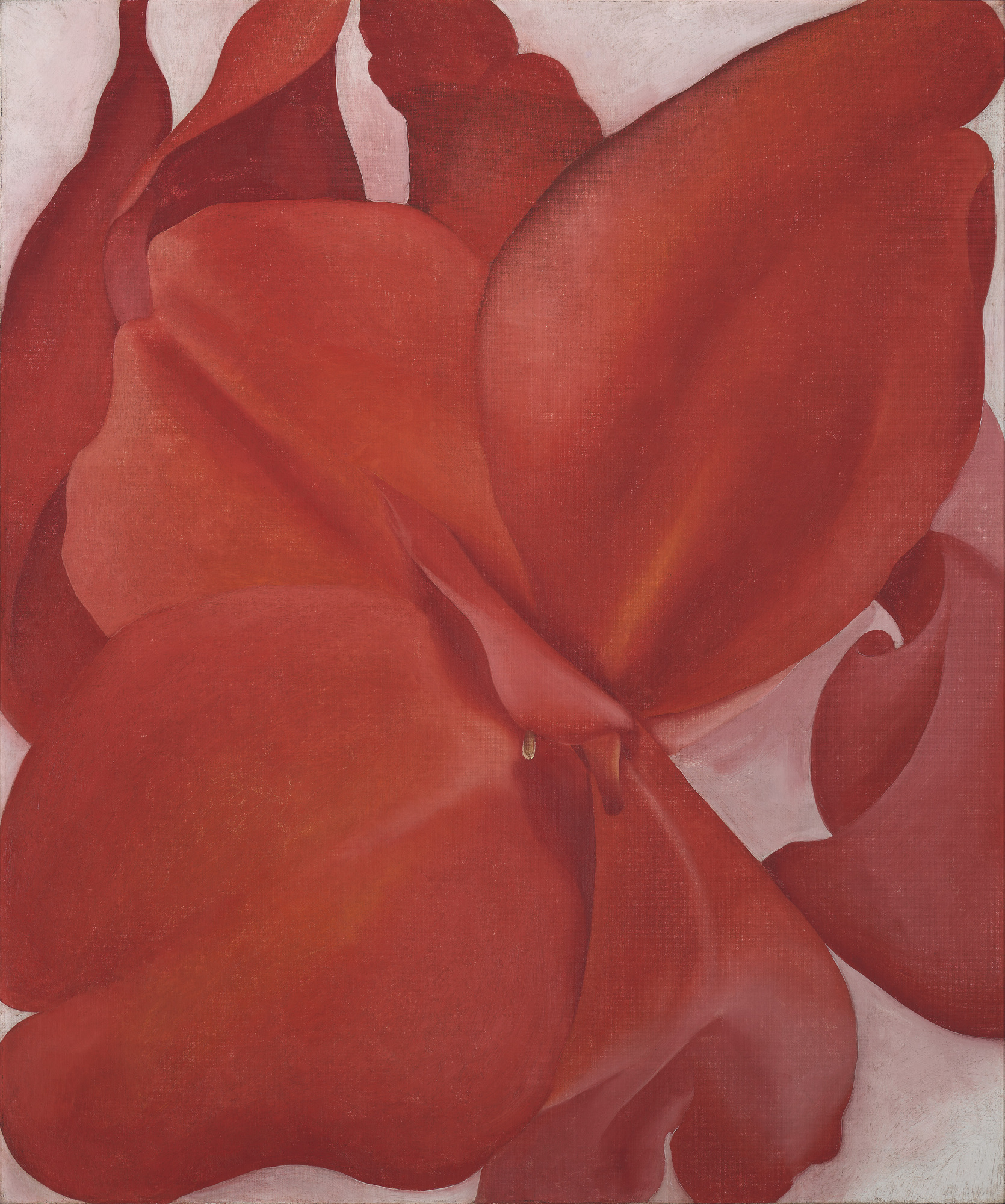 An oil painting of an extreme close up, abstracted view of a red flower.