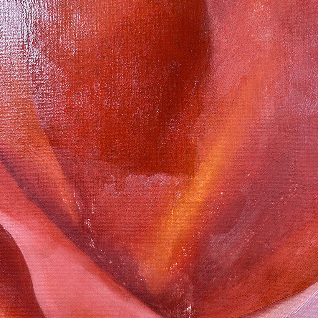 A close-up of a red oil painting showing areas that had been cleaned.