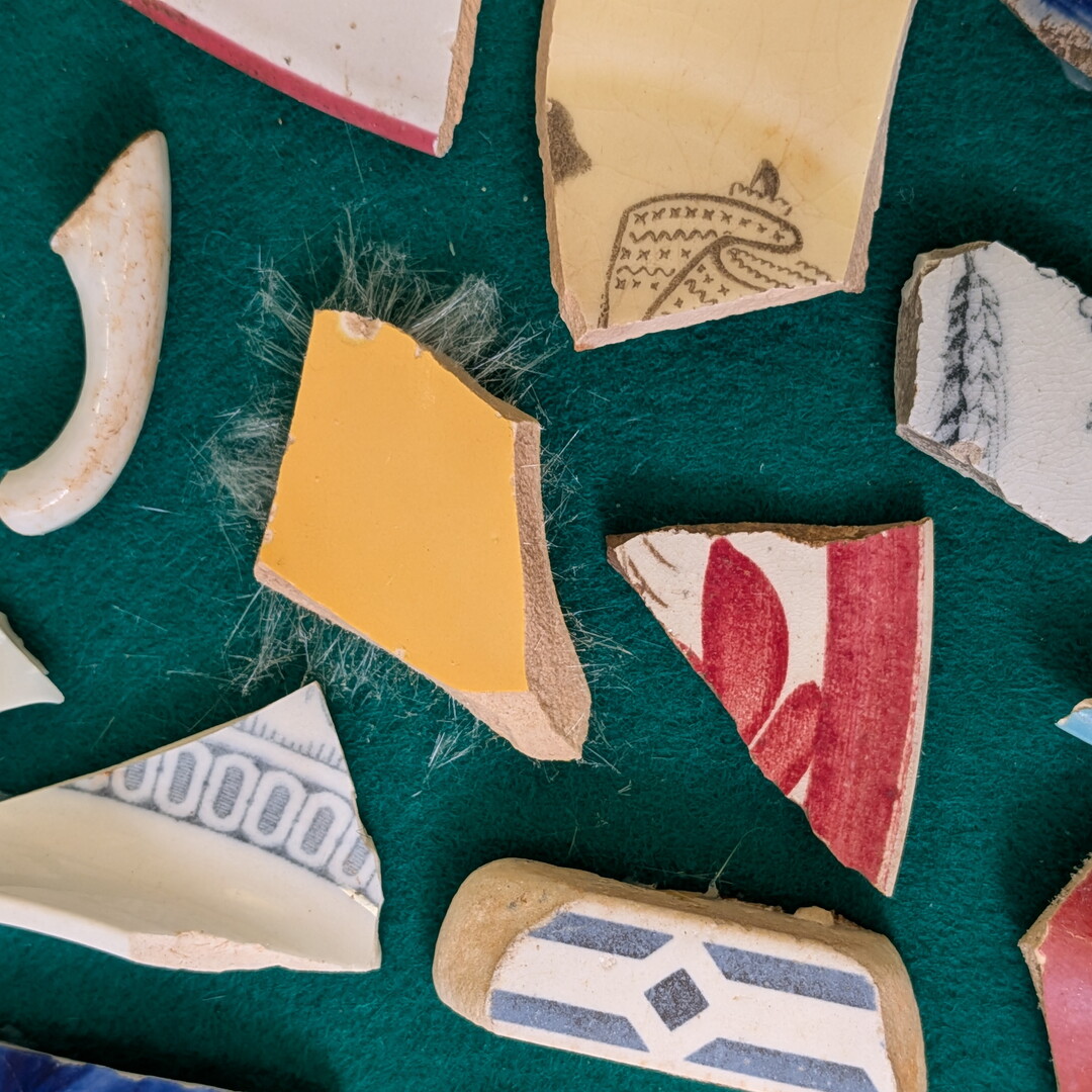 A close-up of shards of ceramic pottery showing mold growth on the edges of some of the pieces.