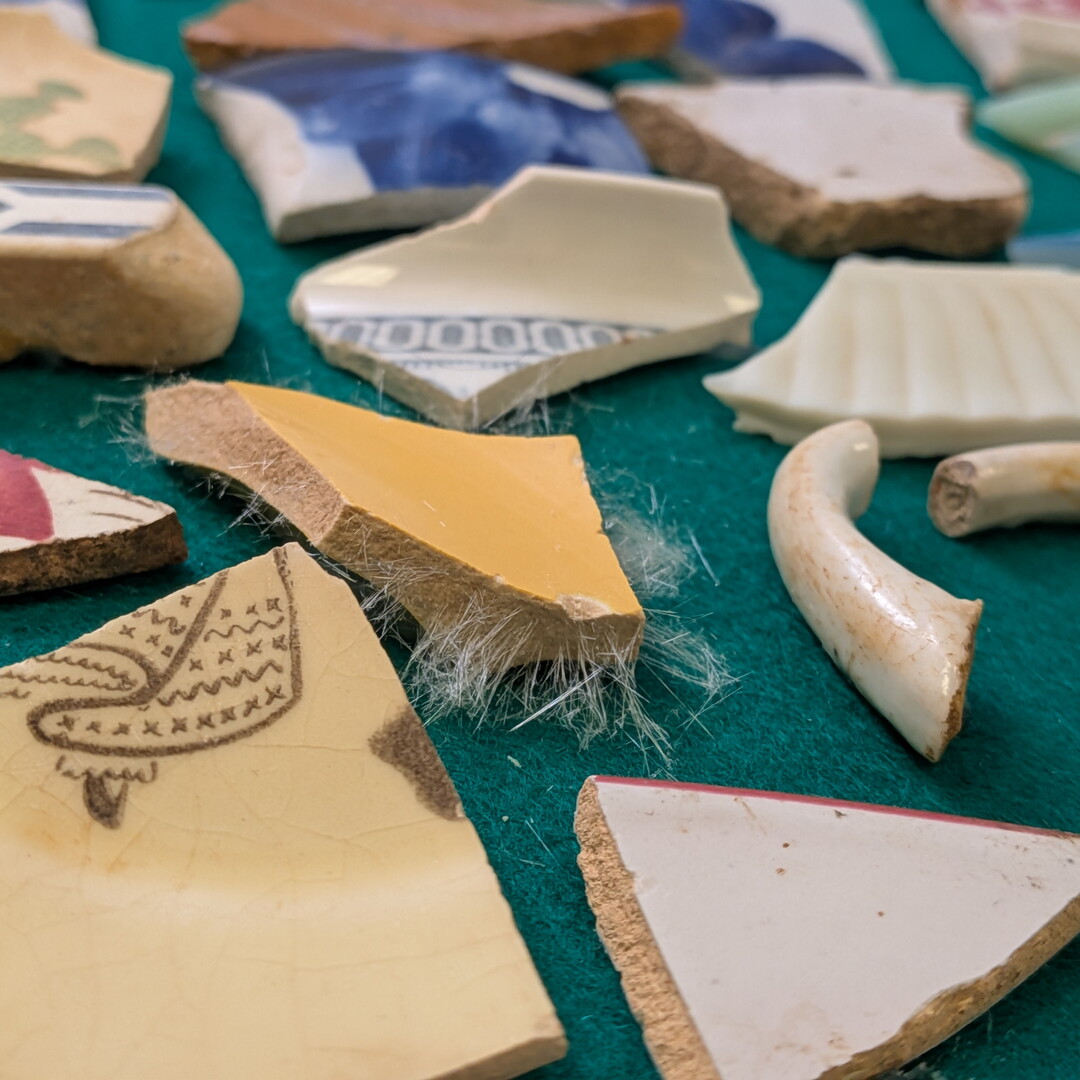 A close-up of shards of ceramic pottery showing mold growth on the edges of some of the pieces.
