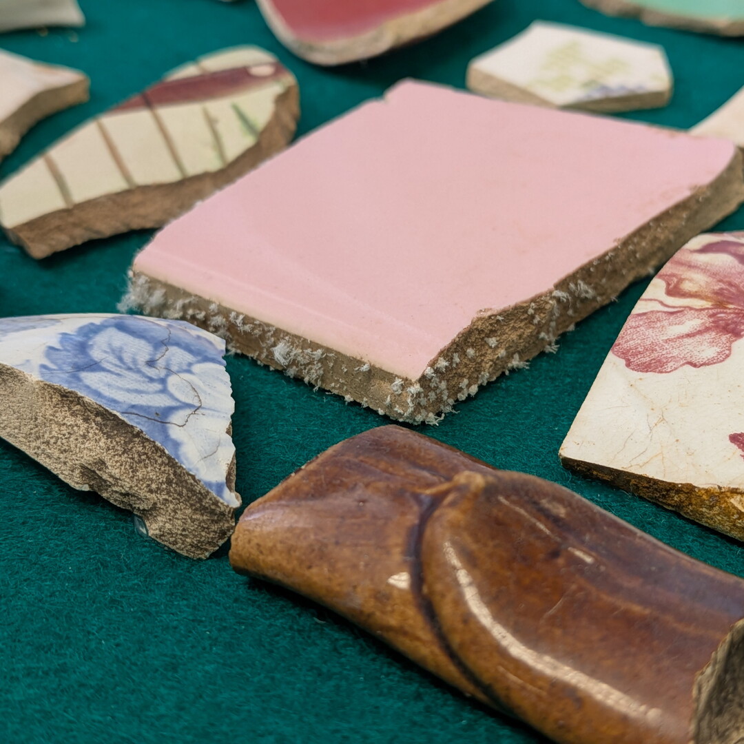 A close-up of shards of ceramic pottery showing mold growth on the edges of some of the pieces.