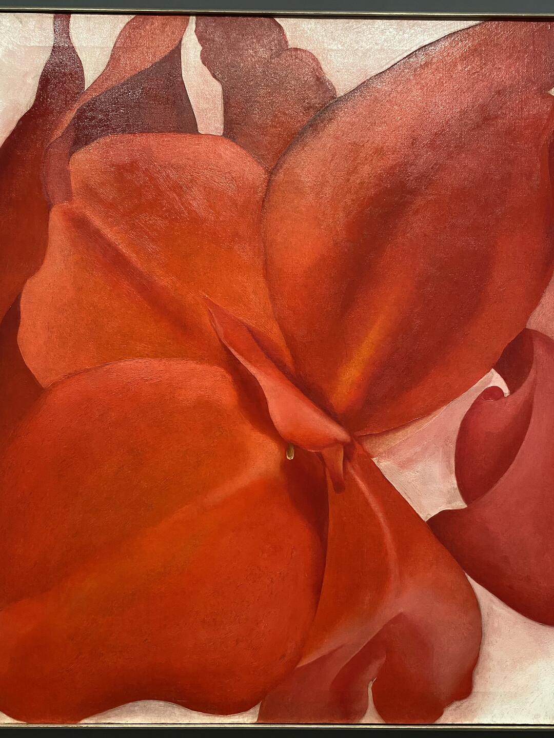 An oil painting of an extreme close-up, abstracted view of a red flower.