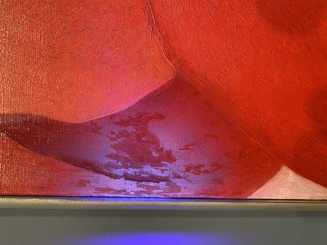 A close-up of a detail of Red Cannas under a UV flashlight.