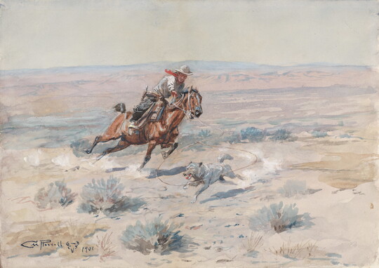 A watercolor of a cowboy riding a horse while roping a wolf.