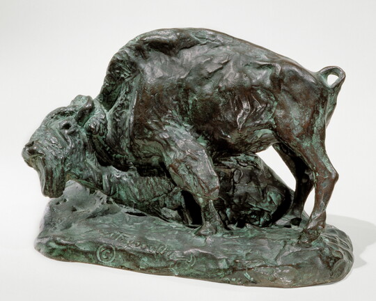 A bronze sculpture of a bison with his head and front leg lowered toward the ground.