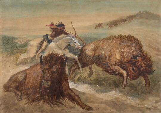 A watercolor of a Native American man on horseback shooting a bow and arrow at one bison while another lies injured nearby.