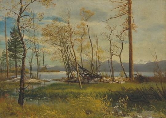 A landscape oil painting of trees, a lake, and mountains in the distance on a cloudy day.
