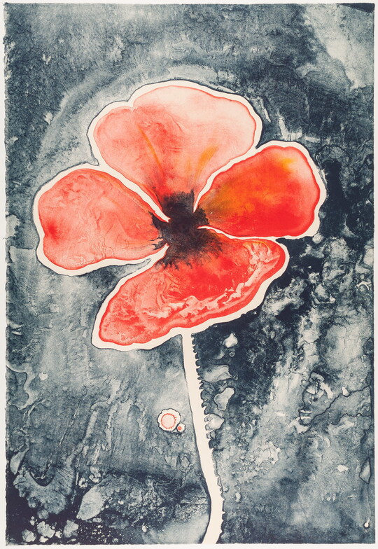 An abstract color print of a single red flower with a black and gray background.