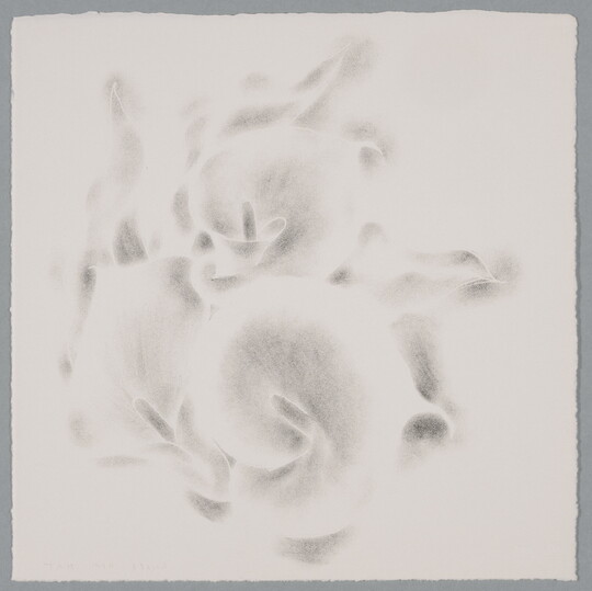 An abstract black-and-white print of what resembles delicate rose petals curling around each other.