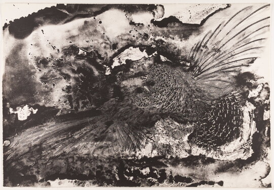 A black-and-white print of an owl with outstretched wings flying on an abstract splattered background.