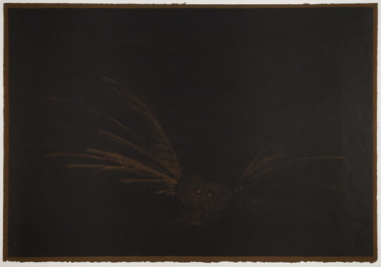 A print with a solid black background and the faint shape of a brown owl flying toward the viewer.