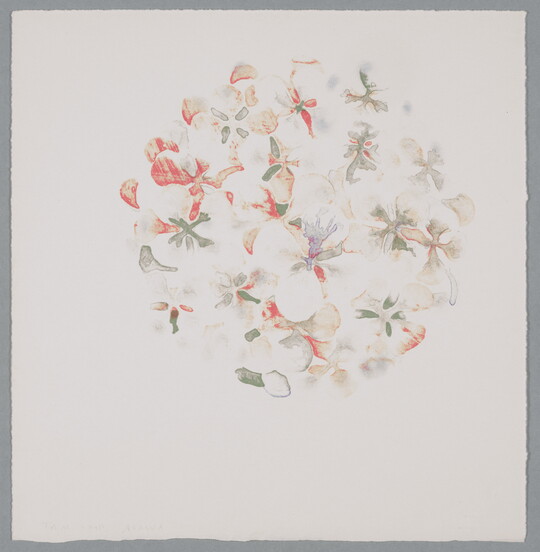 A color print of an abstract circular shape consisting of pink, purple, and green flower petal shapes.