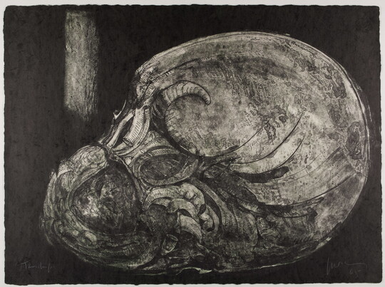 An abstract black-and-white print of a lightbulb-shaped figure full of organic swirls and shapes on a black background.