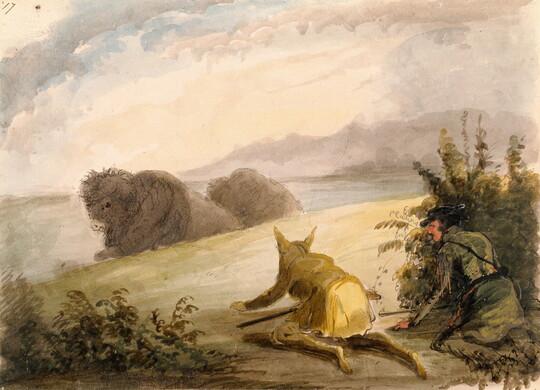 A watercolor of two men crouched on the ground amongst shrubs, one wearing a wolf hide and crawling toward two bison laying in the grass.