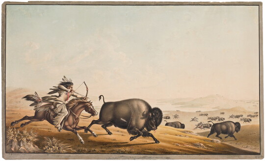 A watercolor of a herd of bison running in a field from Native Americans on horseback hunting with a bows and arrows.