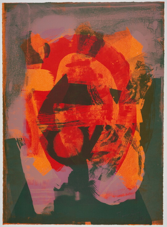 An abstract color print of organic shapes and lines that are orange, red, black, and pink.