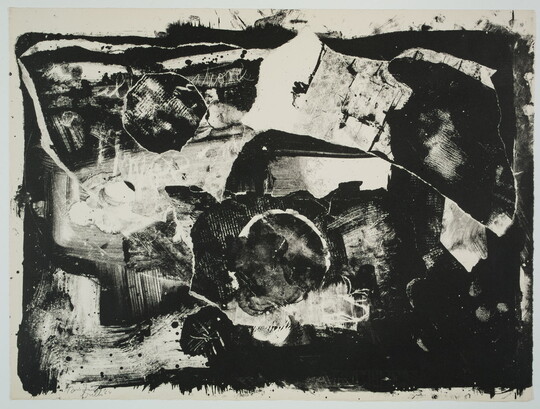 An abstract black-and-white print of organic shapes and lines among splotches of black and white.