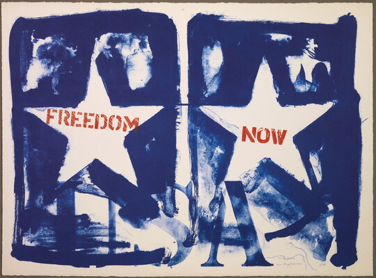A color print of two blue rectangles, both with a white star and "USA" stenciled at the bottom in blue; at left, the star contains the word "FREEDOM" in red, and at right, the star contains the word "NOW" in red.