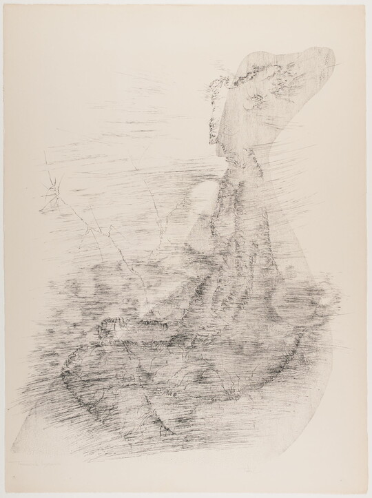 An abstract black-and-white print of organic shapes that look like they were created through a pencil rubbing.