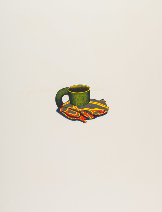 A color print of a green mug attached to the back of a yellow, red, and gray frog.
