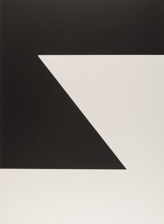 A black-and-white print of a zig-zag geometric design.