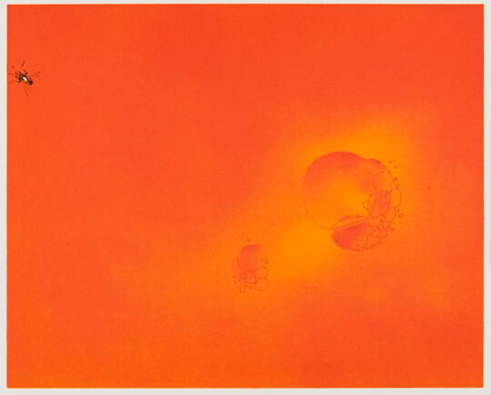 A color print in bright orange of two clusters of bubbles at the center right and a small black fly in the upper left corner.