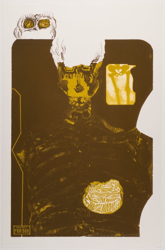 An abstract color print in brown and yellow of what looks like an X-ray of a torso and head; a small image of a license plate in the bottom left.