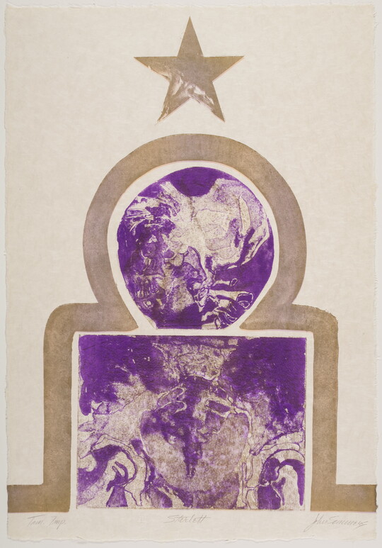An abstract color print in purple and tan of a tan star, an X-ray of a head in a circle, and an X-ray of a pelvis in a square.