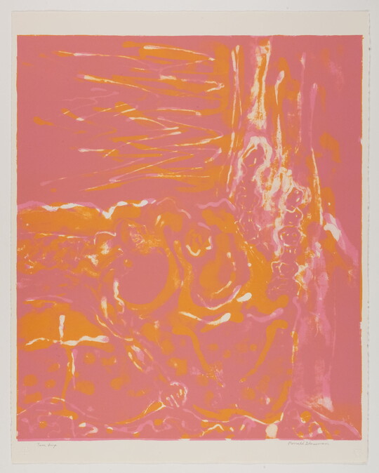 An abstract color print of swirls and gestural strokes in pink and orange.