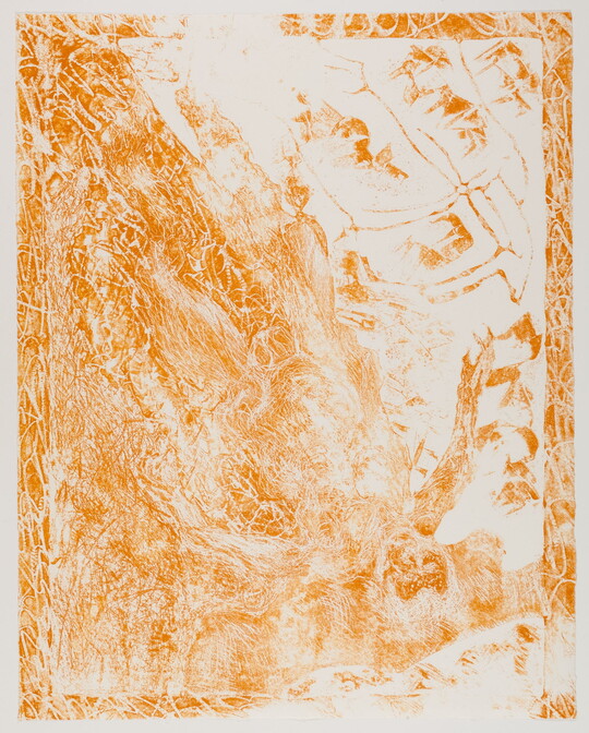 An abstract color print of a partially-obscured human-like figure in orange and white upside down and diagonal.
