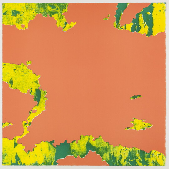 An abstract color print of a solid orange background with organic yellow and green rivulets flowing onto it like water.