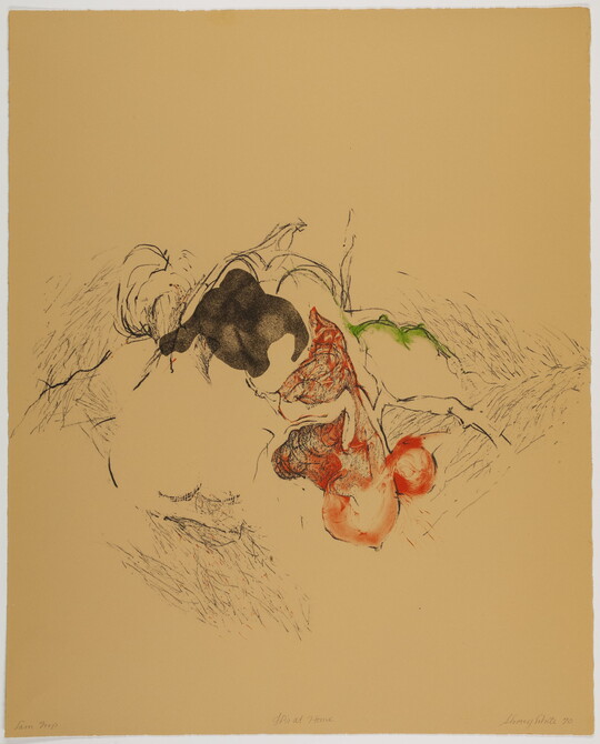 An abstract color print of organic lines and shapes, shaded in areas with black, green, and red.