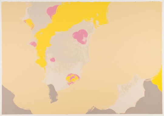 An abstract color print with organic bubble-like shapes in tan, pink, and yellow.