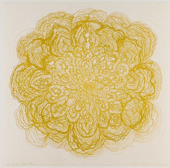 An abstract color print consisting of fine yellow lines overlapping to create a flower-like shape.