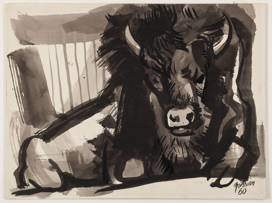 An ink sketch-like illustration of a black bison lying on the ground.