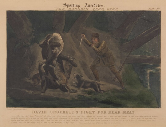 A color print of a White man in hunting clothing lunging with a knife toward a bear that is being attacked by dogs.