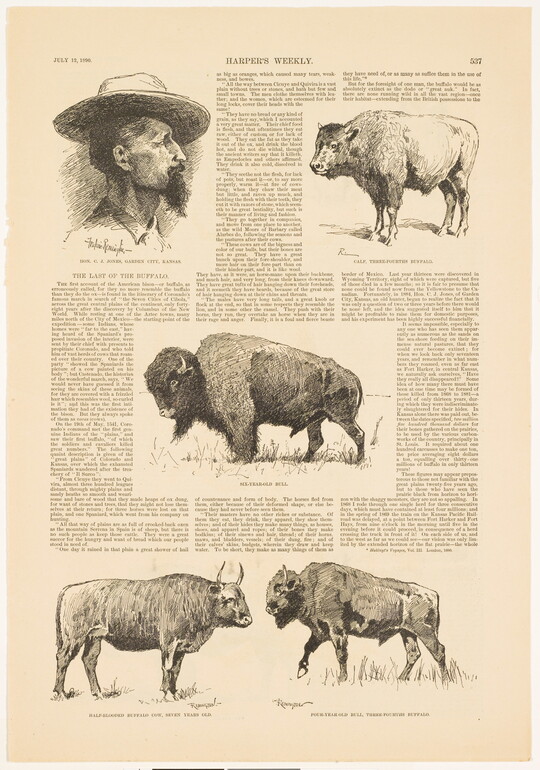 A page from a magazine with text and five illustrations: a bearded man with a wide brimmed hat and four varieties of bison and cattle.