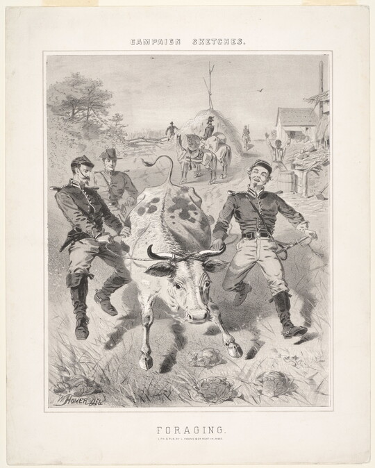A black-and-white print of three soldiers handling an rambunctious bull in a village.