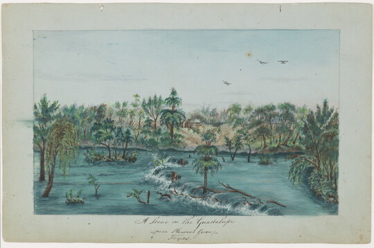 A watercolor of trees and logs in a rushing a river.