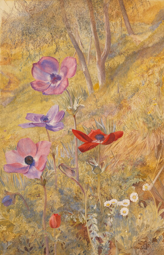 A watercolor of red and purple flowers blooming on a hillside.