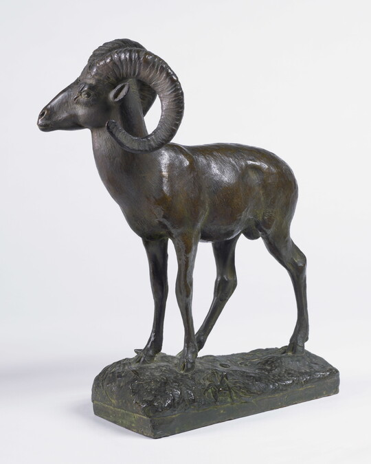 A bronze sculpture of a bighorn sheep.