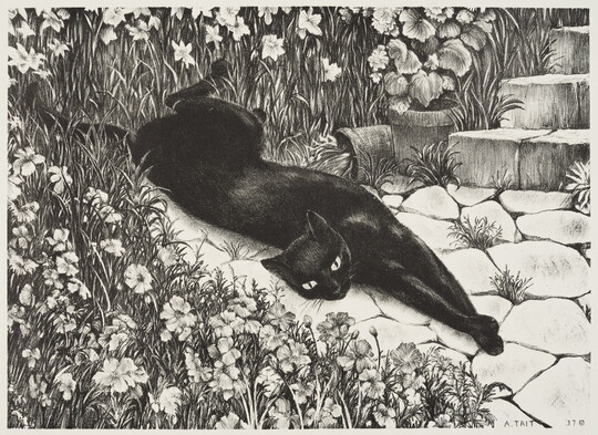 A black-and-white print of a black cat lying stretched out on a stone path surrounded by flowers.