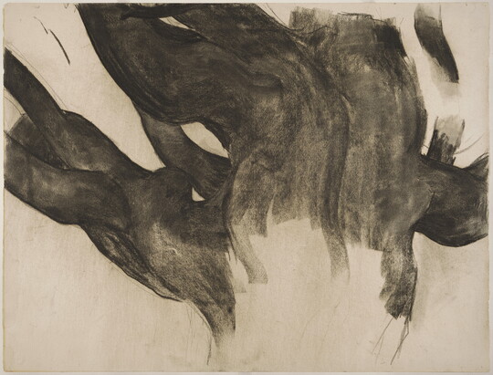 An unfinished charcoal drawing of a tree trunk and branches.
