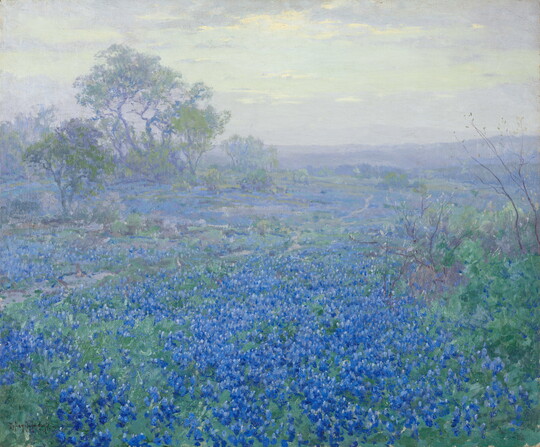 An oil painting of a field of bluebonnets on a cloudy day.