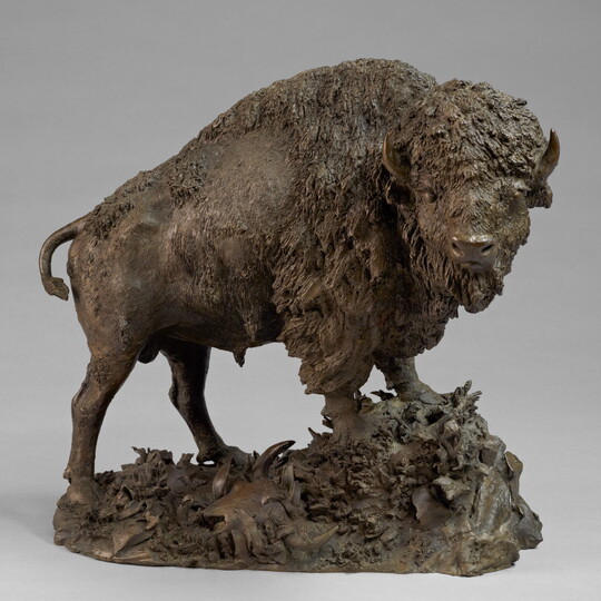 A bronze sculpture of a wooly bison standing on a rock.
