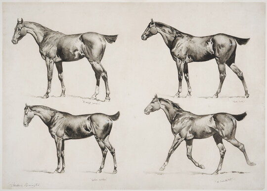 A black-and-white watercolor of four different types of horses, all facing the to the left.