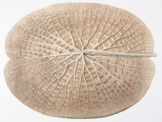 A color print of a close-up of the underside of a circular leaf showing many veins.