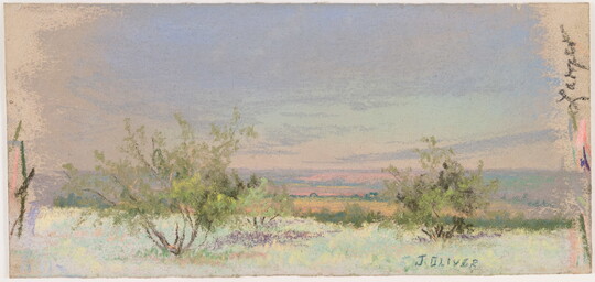 A colorful pastel drawing of mesquite trees in a landscape.