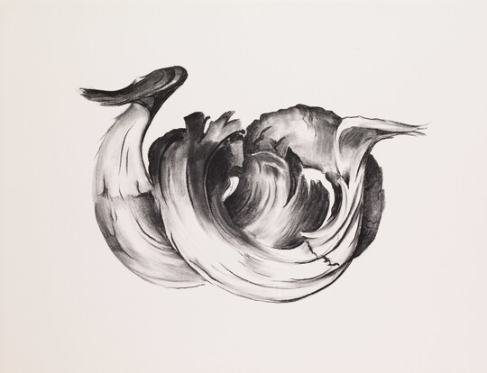 An abstract black-and-white print of animal horns.<br />