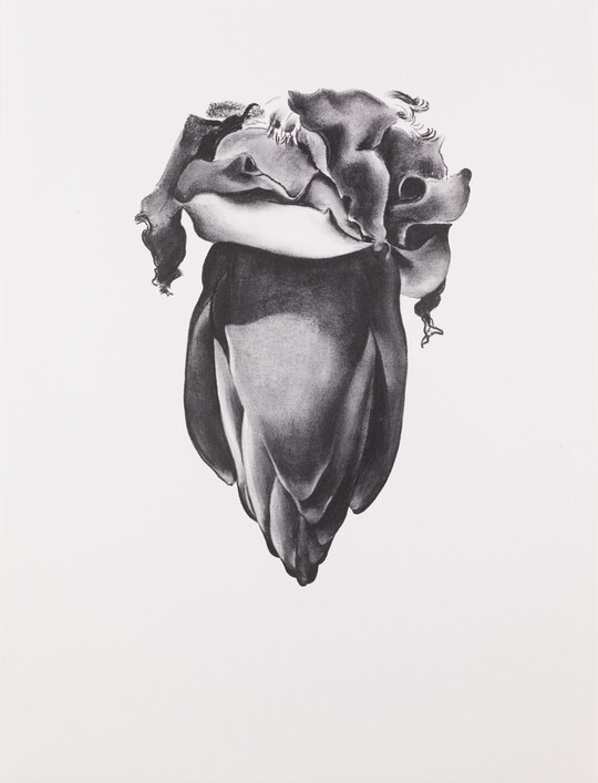 A black-and-white print of a flower with buds and petals.